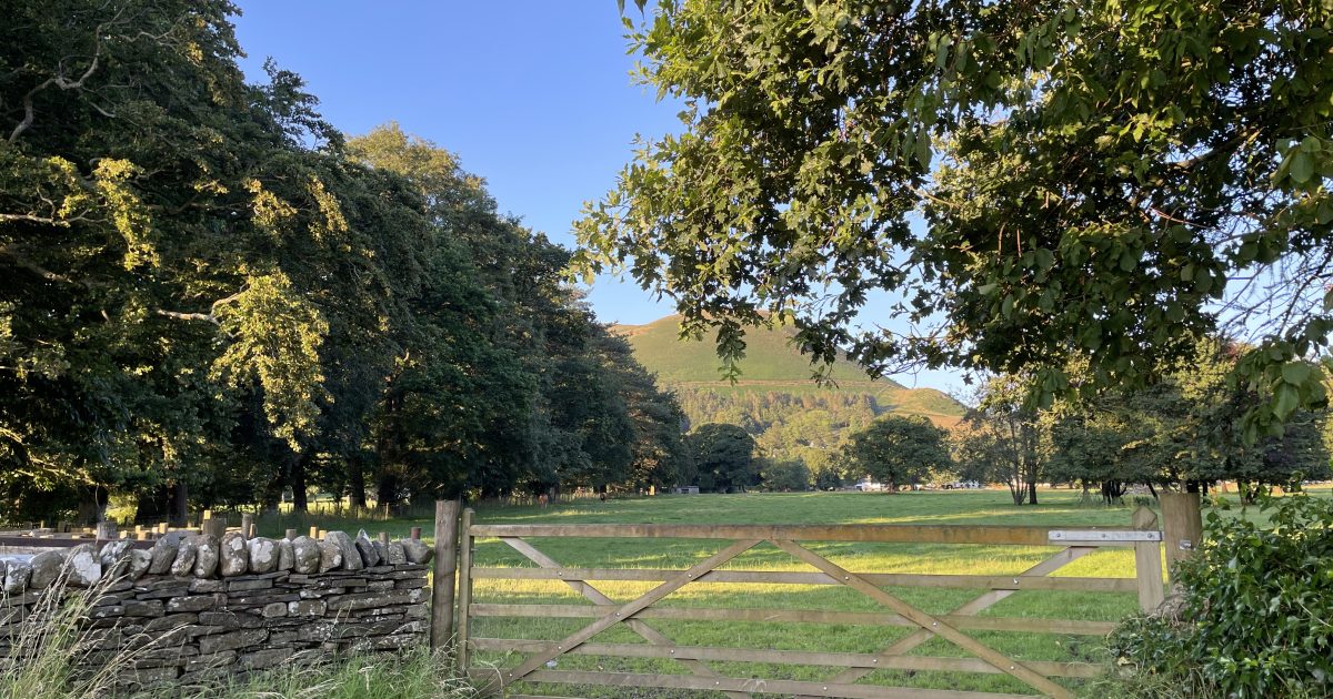 Stableyard Equine Stableyard Work Experience | LANSS